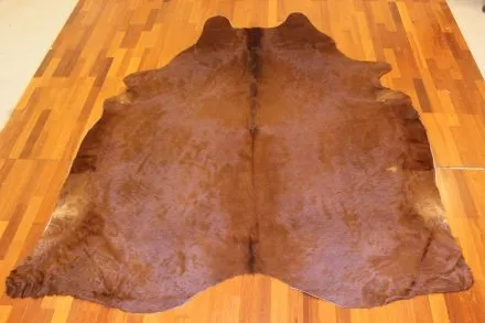 Kohud – Hnedá