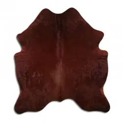 Kohud - Brun 1354