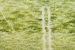 Kilimová rohož Marocký Azilal 250 x 160 cm