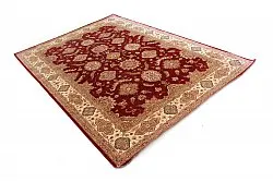 Orientálny Ziegler 291 x 201 cm