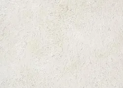 Koberce s chlpatým povrchom - Cosy (biela)