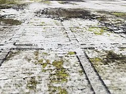 Koberec Wilton - Kvety (čierny/hnedý/biely)