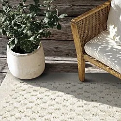 Shaggy Indoor/Outdoor - Rochester (béžová)