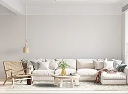 Shaggy Indoor-Outdoor - Shirley (krémová)