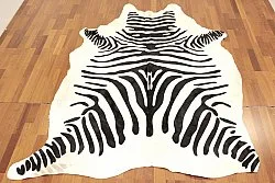 Zebraskinn 11