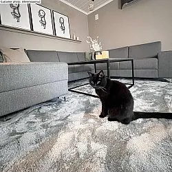 Koberce s dlhým vlasom - Aranga Super Soft Fur (šedá)
