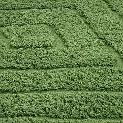 Kruhový koberec - Amberley Natural Cotton Shaggy (zelená)