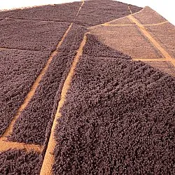 Koberce s dlhým vlasom - Bellevue Natural Cotton Shaggy (červená/oranžová)