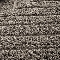 Koberce s dlhým vlasom - Conara Natural Cotton Shaggy (taupe)