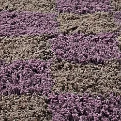 Kolo koberce - Elsey Natural Cotton Shaggy (hnedá/fialová)