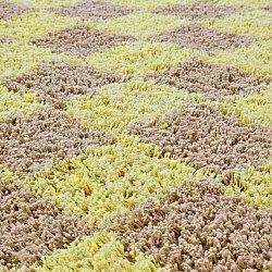 Kolo koberce - Elsey Natural Cotton Shaggy (žltá/bežová)
