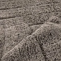 Koberce s dlhým vlasom - Farley Natural Cotton Shaggy (taupe)