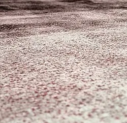 Koberec Wilton - Olmedo (šedá/ružová)