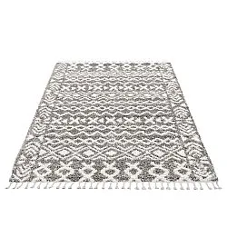 Koberce s dlhým vlasom - Obchod (šedá)