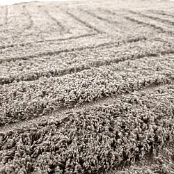 Kolo koberce - Conara Natural Cotton Shaggy (taupe)