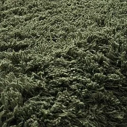 Koberce s dlhým vlasom - Fassale Hand Woven Wool Shaggy (machovo zelený)