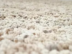 Koberce s dlhým vlasom - Carl (béžový)