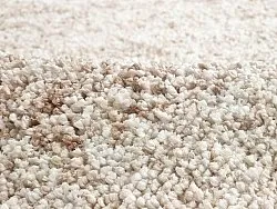 Koberce s vlasom - Massimo (béžový)