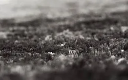 Koberec s dlhým vlasom - Shaggy Luxe (antracitová)