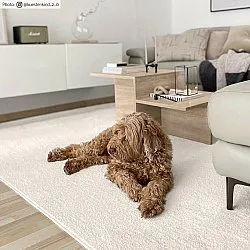 Koberec Wilton - Sunayama (biely)