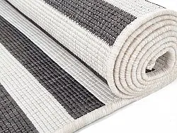 Koberec do interiéru a exteriéru - Roscoe (čierny)