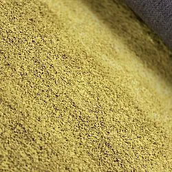 Koberec Wilton - Bacalar (okrový)