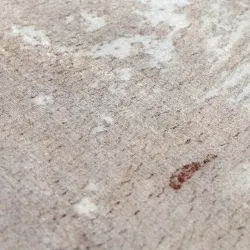 Koberec Wilton - Bornos (šedá/beige)