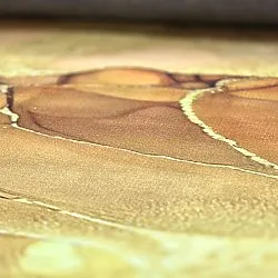 Koberec Wilton - Etienne (béžový/zlatý)