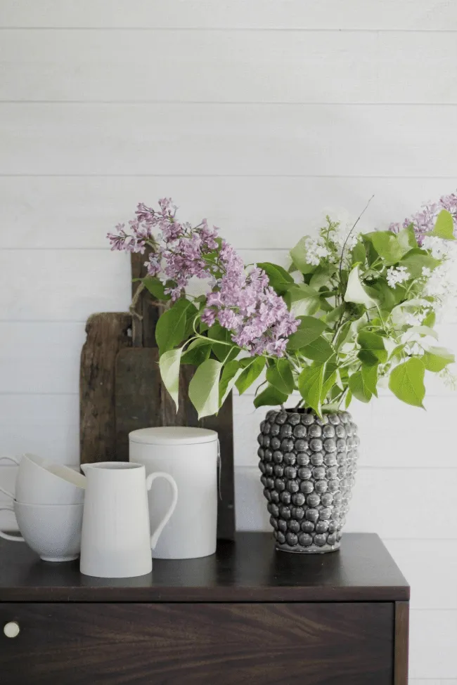 TV-bänk/Byrå - Prime (valnöt/mässing)