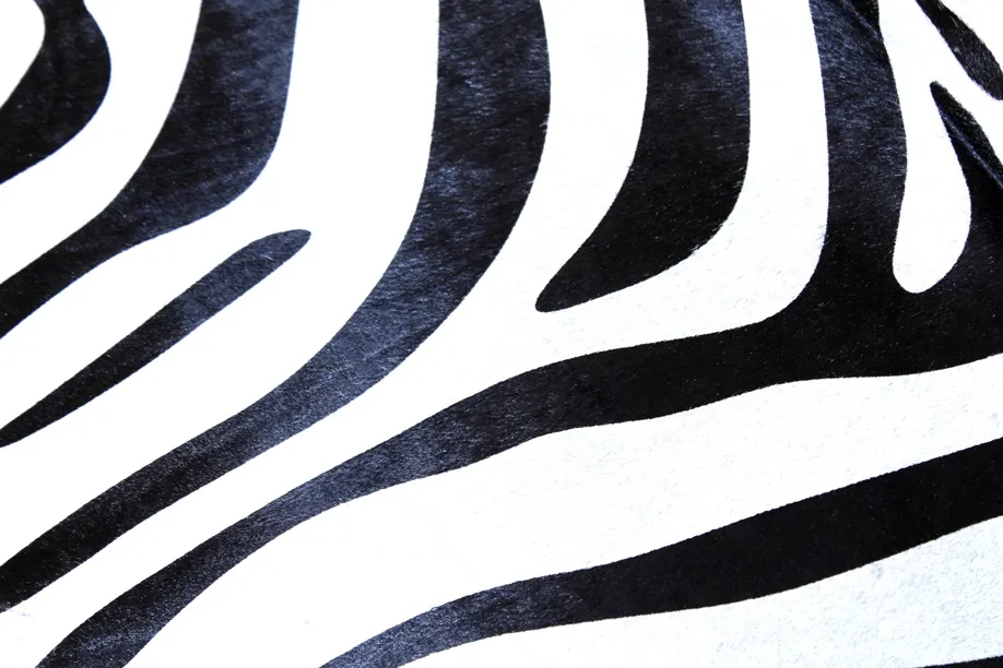 Zebraskinn 14