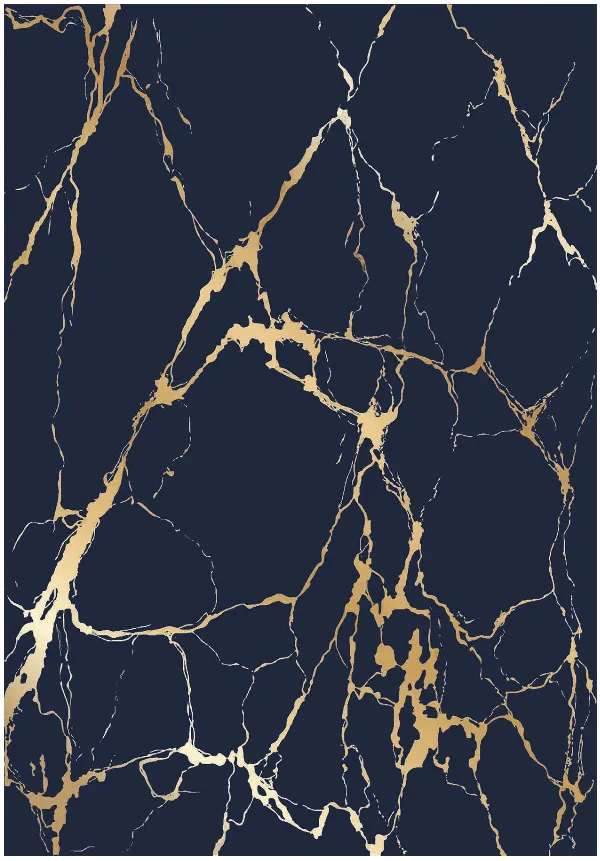 Wilton koberec - Cesina (čierna/zlatá)