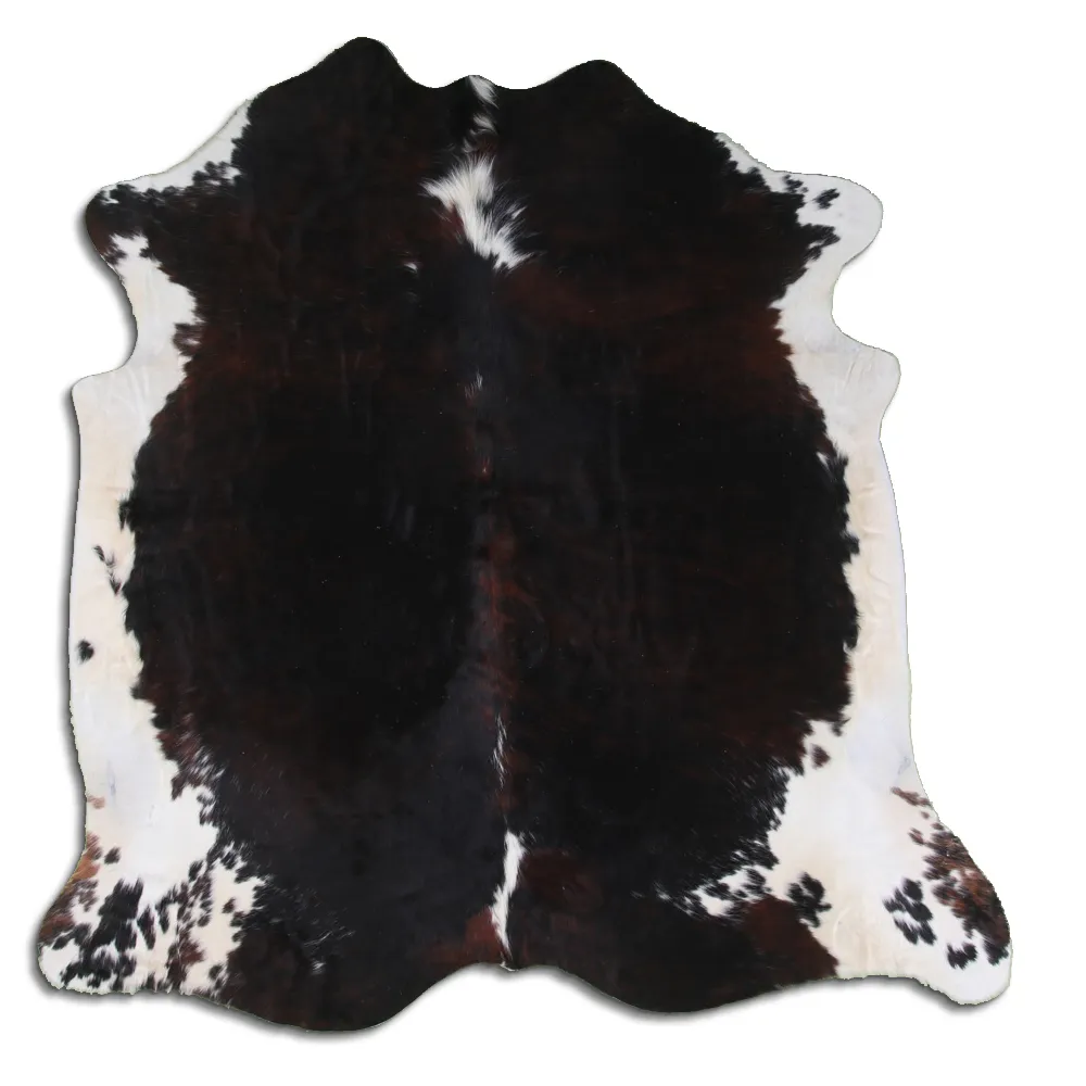 Kohud - Tricolor Exotic 11