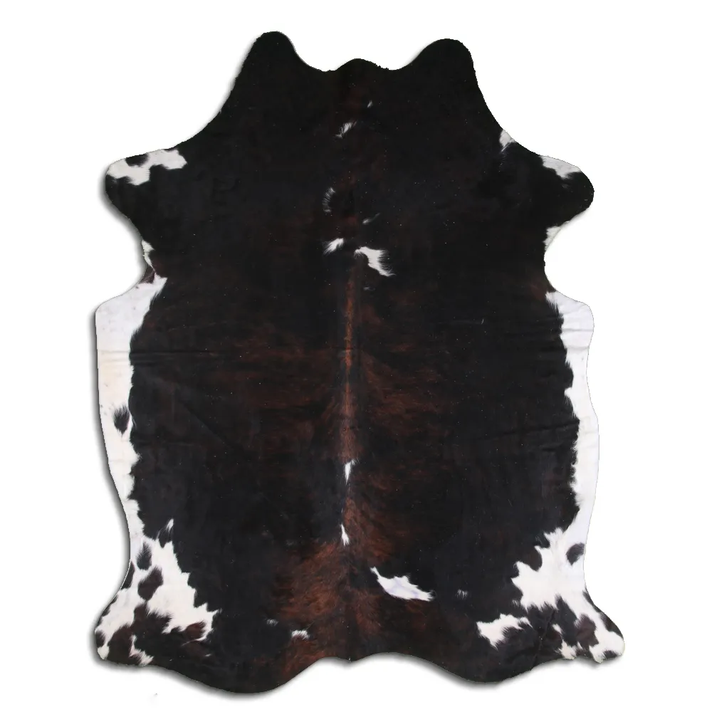 Kohud - Tricolor Exotic 15