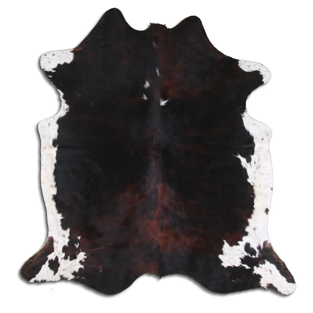 Kohud - Tricolor Exotic 16