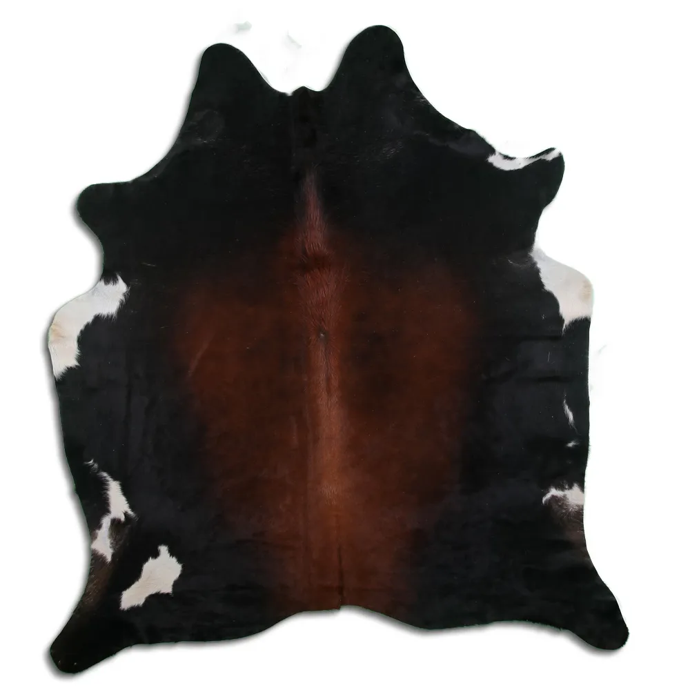 Kohud - Tricolor Exotic 01