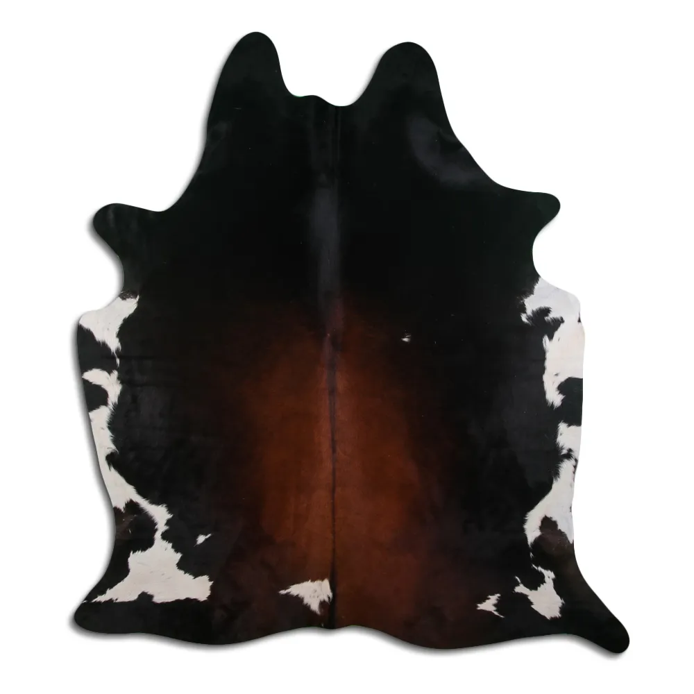 Kohud - Tricolor Exotic 04