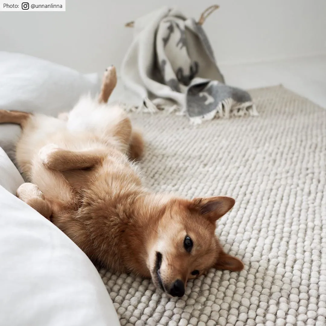 Vlnený koberec - Avafors Wool Bubble (béžový)