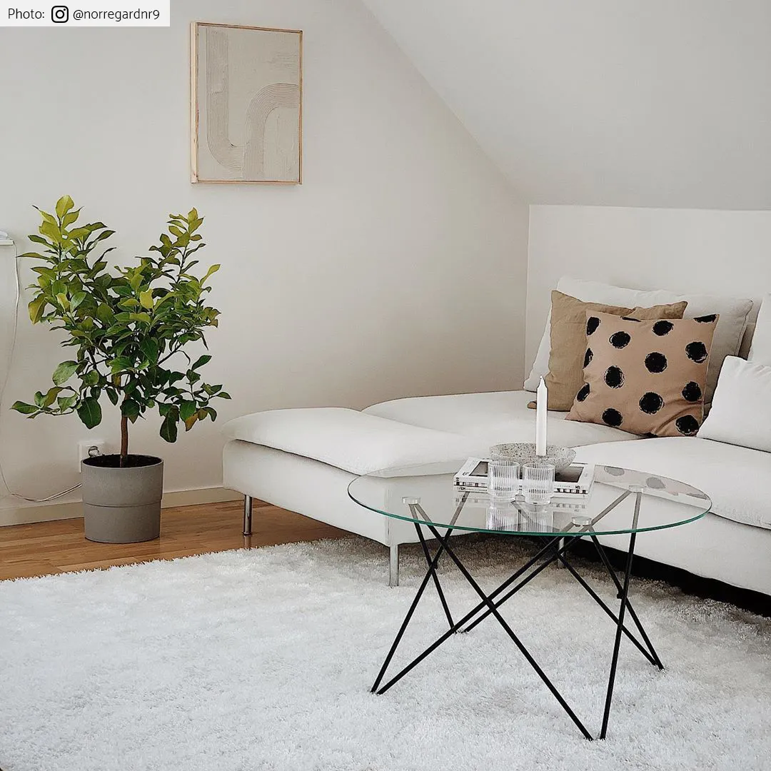 Koberce s chlpatým povrchom - Cosy (biela)