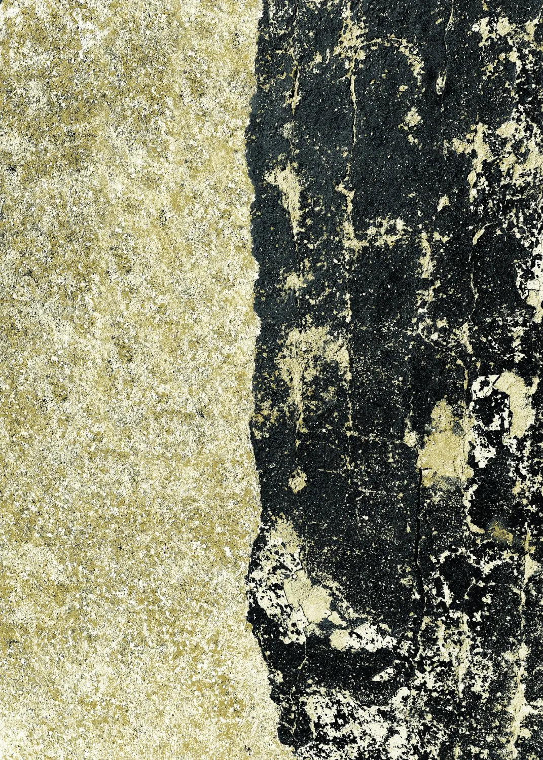 Koberec Wilton - Cyra (čierna/zlatá)