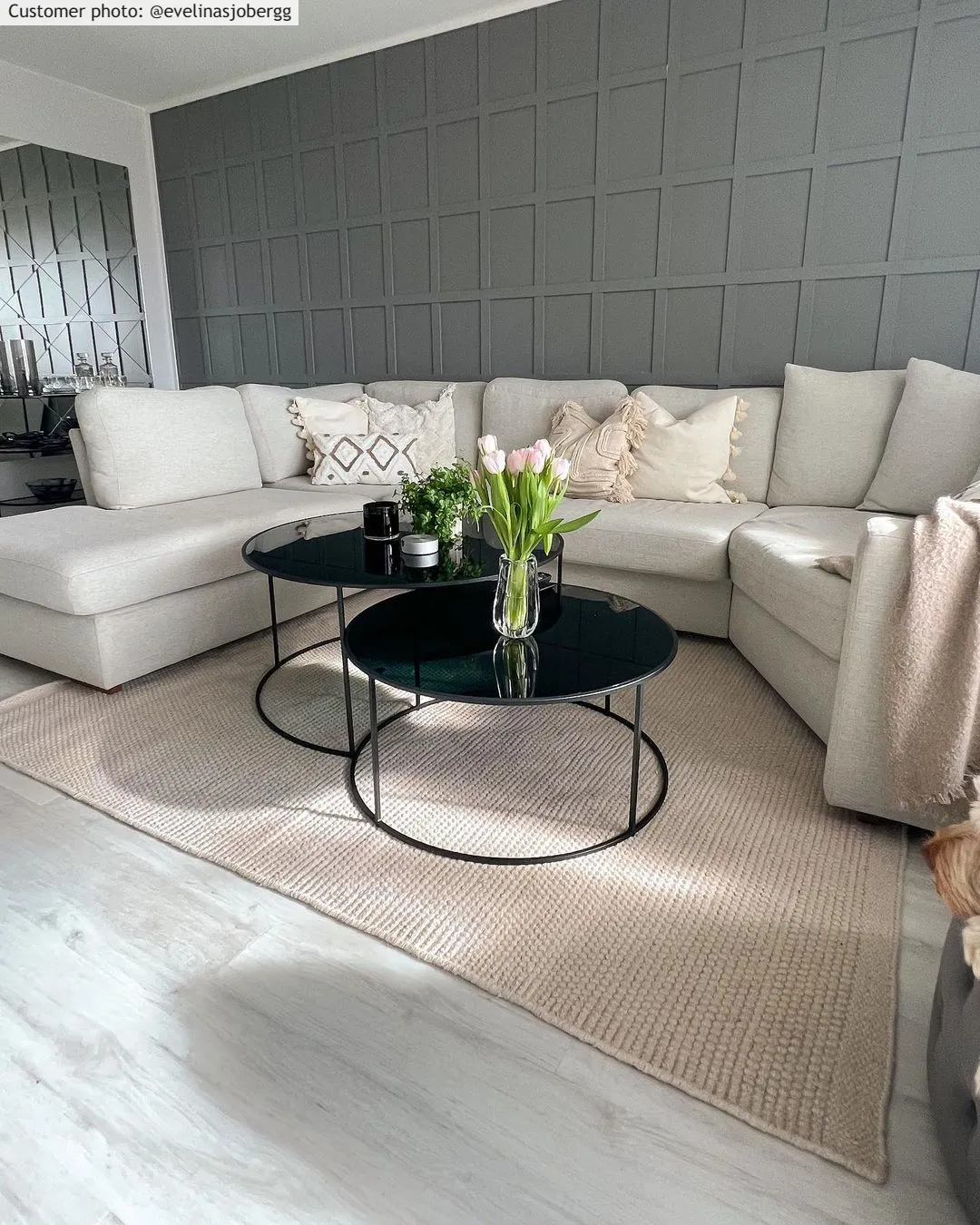 Vlnený koberec - Coastal (krémový)