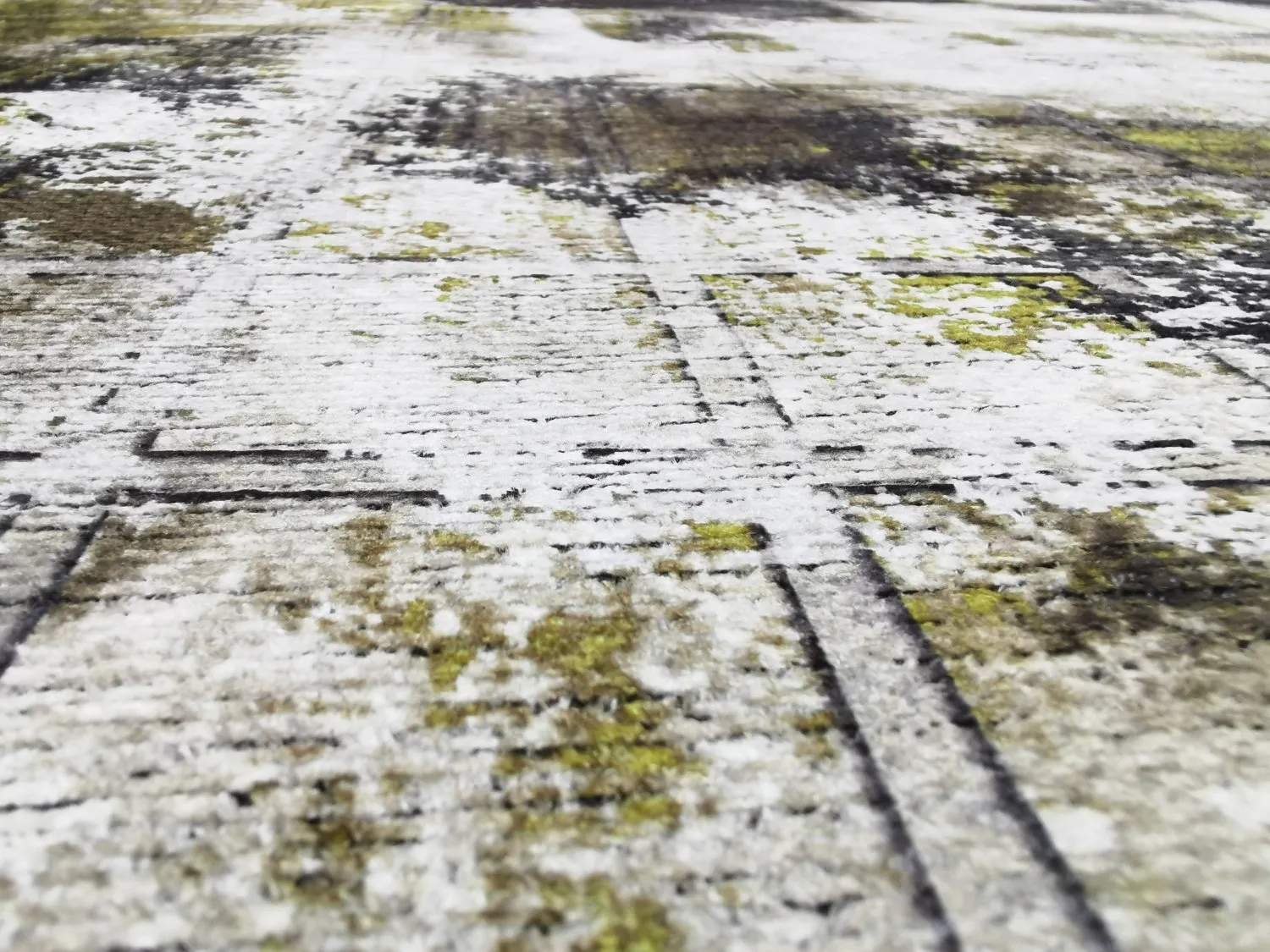 Koberec Wilton - Kvety (čierny/hnedý/biely)