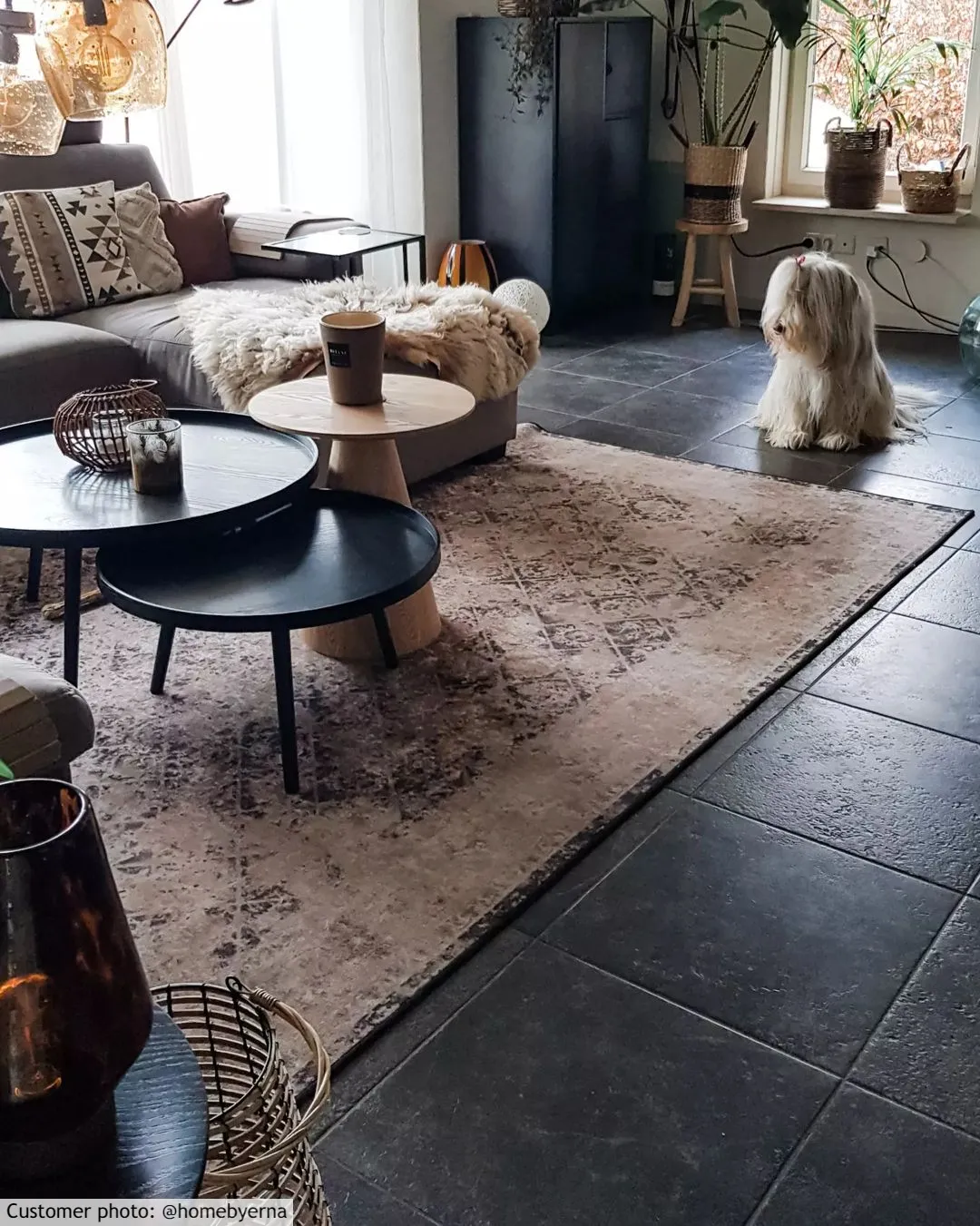 Koberec Wilton - Douz (černá/multicolor)