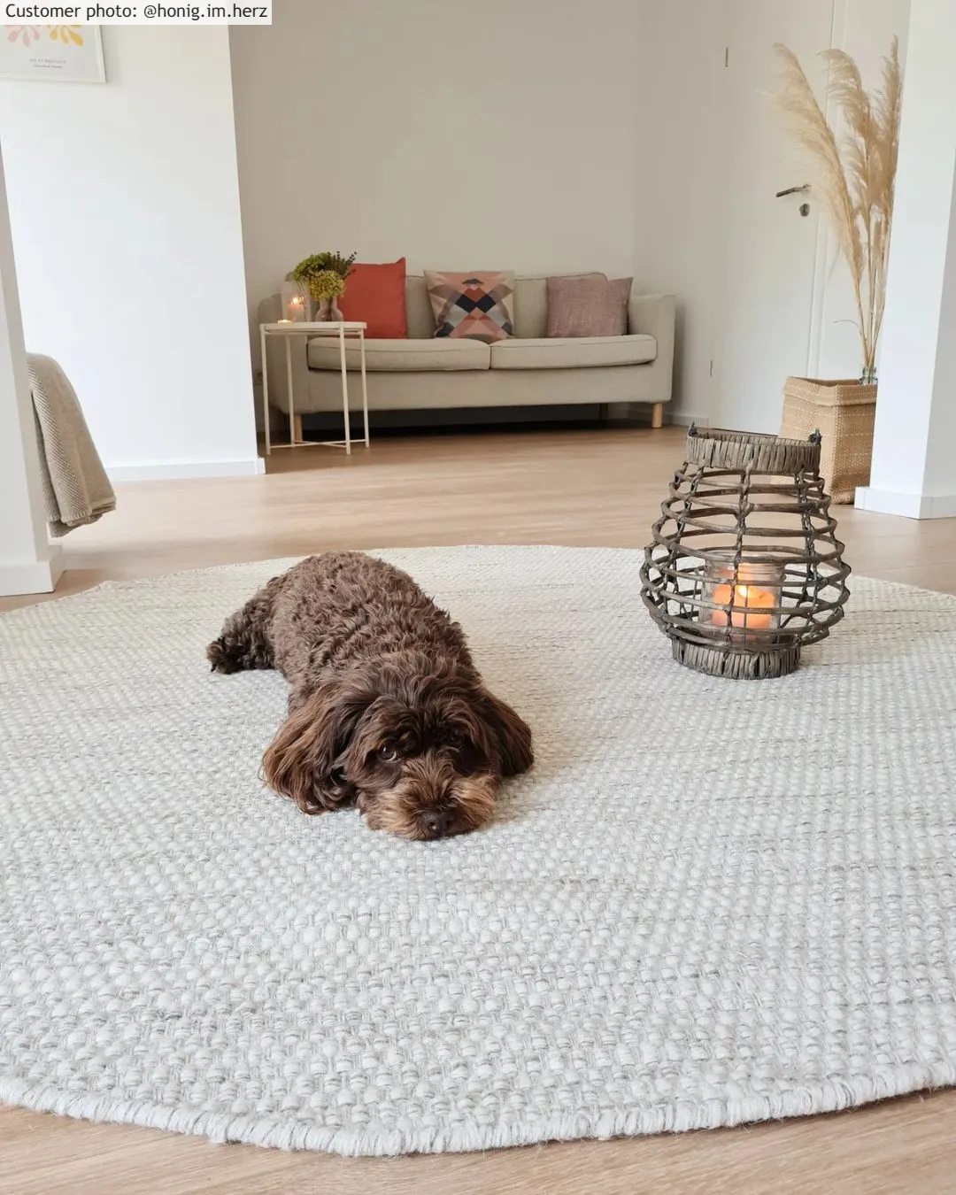 Kruhový koberec - Otago (príroda)