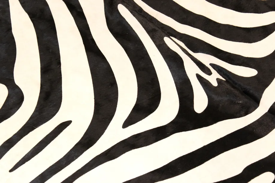 Zebraskinn 11