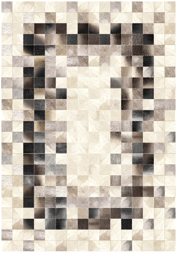 Koberec Wilton - Livada (biely/multicolor)