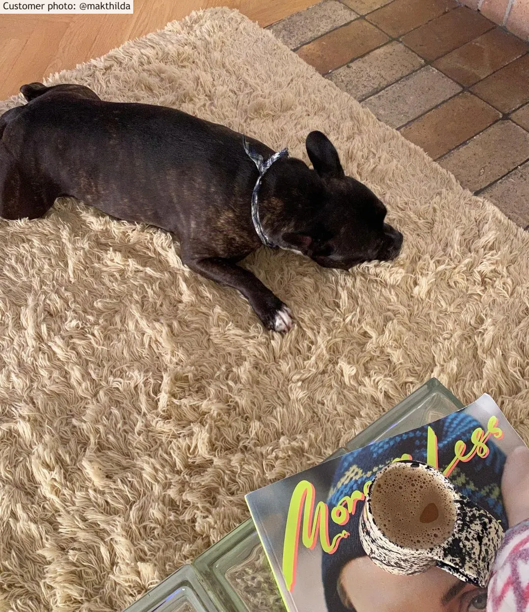 Vlněný koberec - Aliste Wool Shaggy (alabaster gleam)