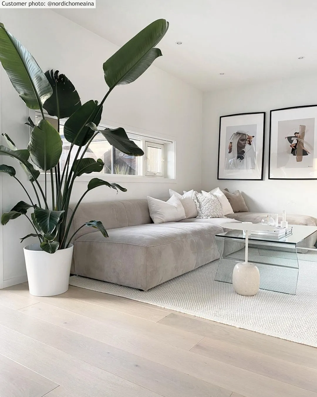 Vlnený koberec - Coastal (biely)