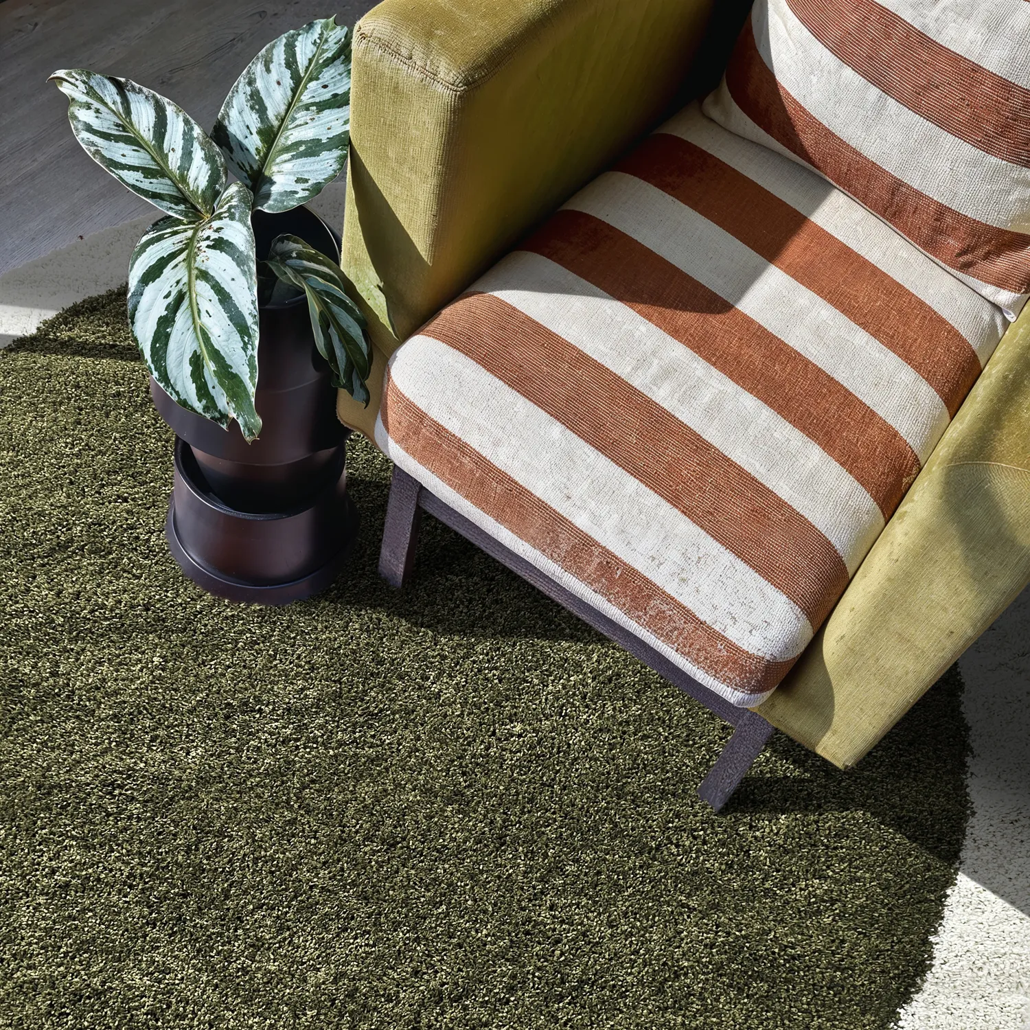 Koberce okrúhle - Conques (zelená/biela)