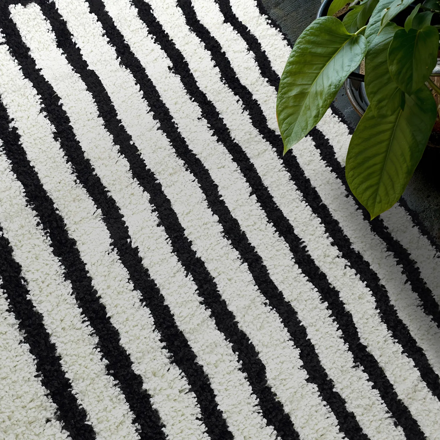 Chlpaté koberce - Cluny (biela/čierna)