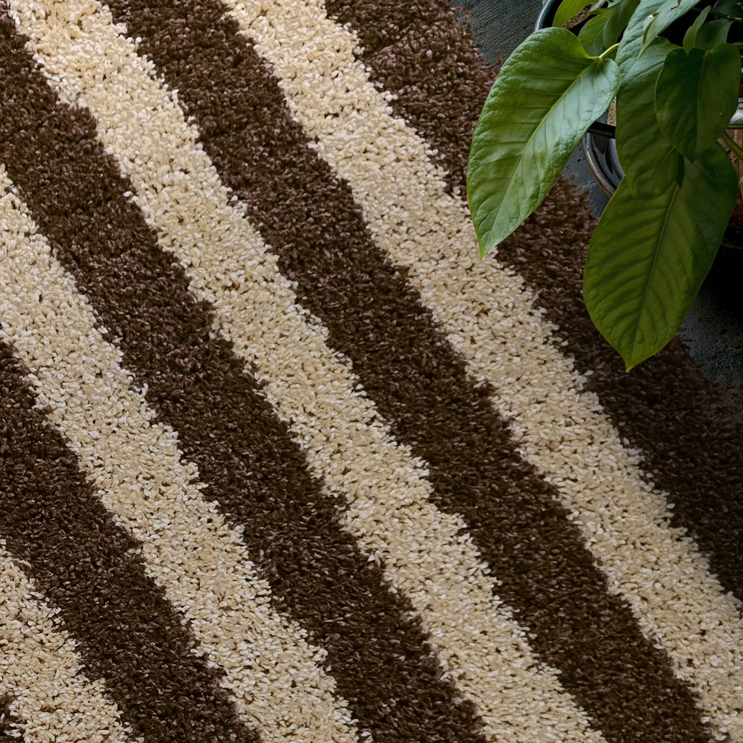 Koberce s dlhým vlasom - Imilchil (béžová/hnedá)